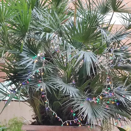 Terrazza Di Ernesto Apartament