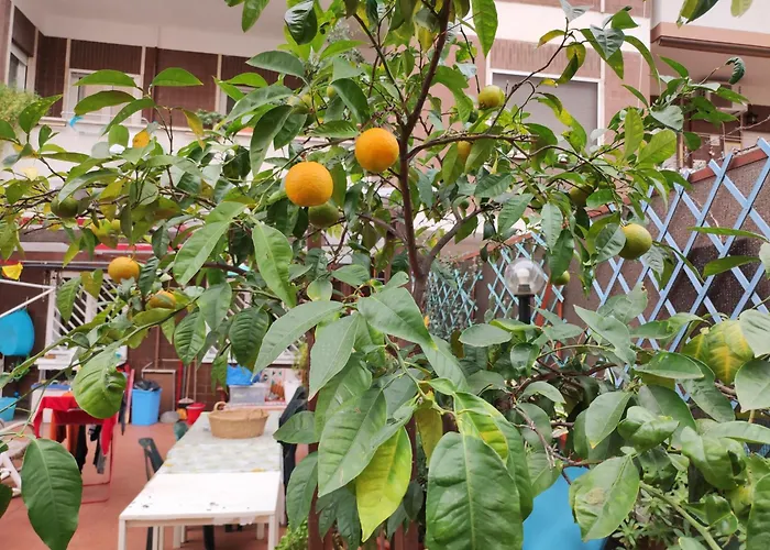 Apartamento Terrazza Di Ernesto Roma