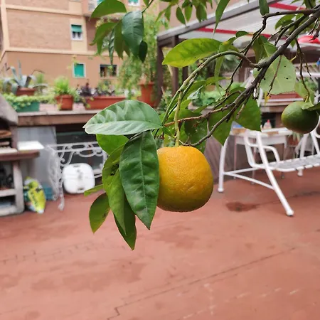 Terrazza Di Ernesto Rome