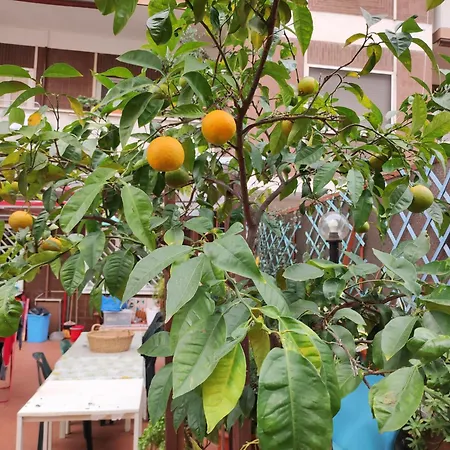 Appartamento Terrazza Di Ernesto Roma