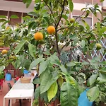 شقة Terrazza Di Ernesto روما